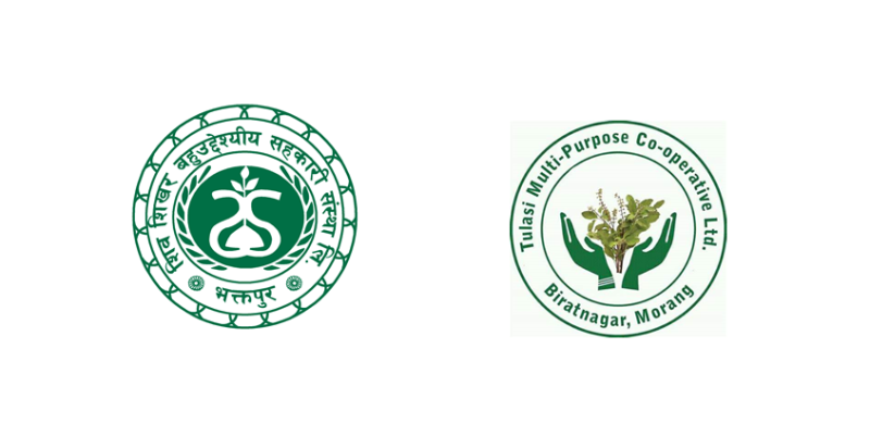 समस्याग्रस्तमा शिवशिखर र तुलसी सहकारी पनि थपिए
